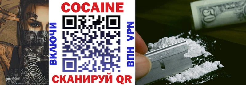 Cocaine FishScale  где купить наркотик  Каменск-Уральский 