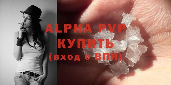 гашик Алексин