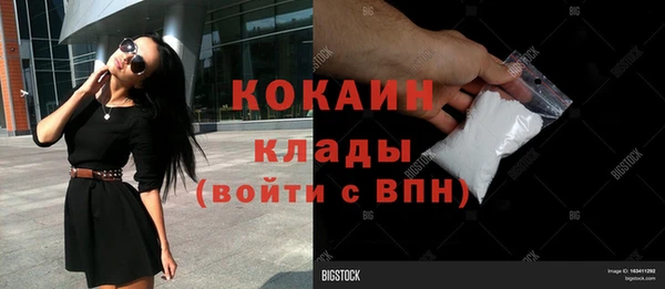 гашик Алексин