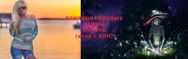 гашик Алексин