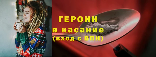 гашик Алексин