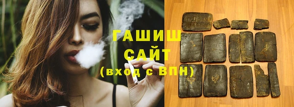 гашик Алексин