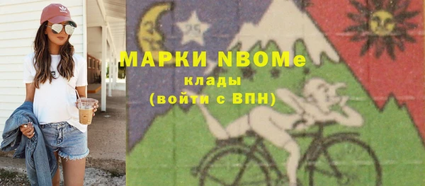 гашик Алексин
